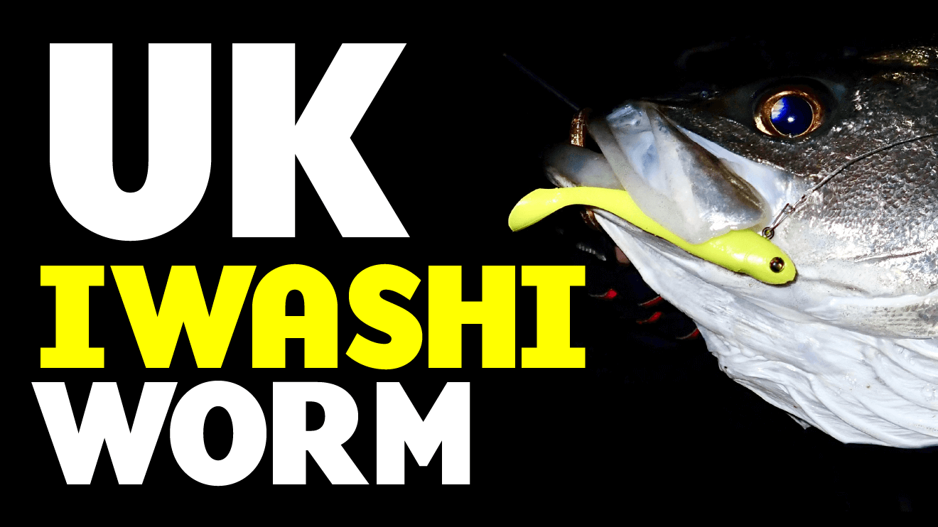 UK IWASHI WORM